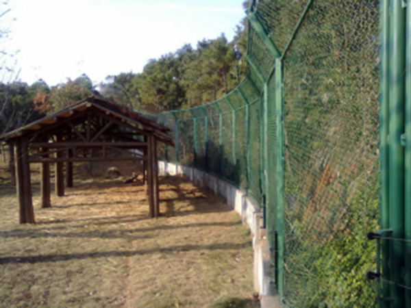 動(dòng)物園防護(hù)柵欄圖片2